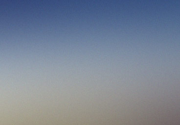 Blog 5